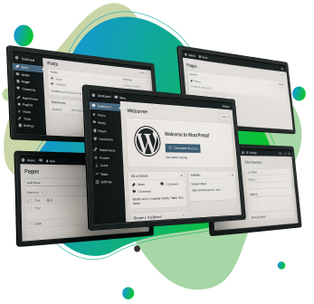 Boise WordPress migration project from Shopify